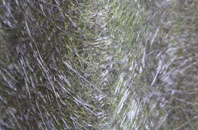 Barbrook fibreglass roof work